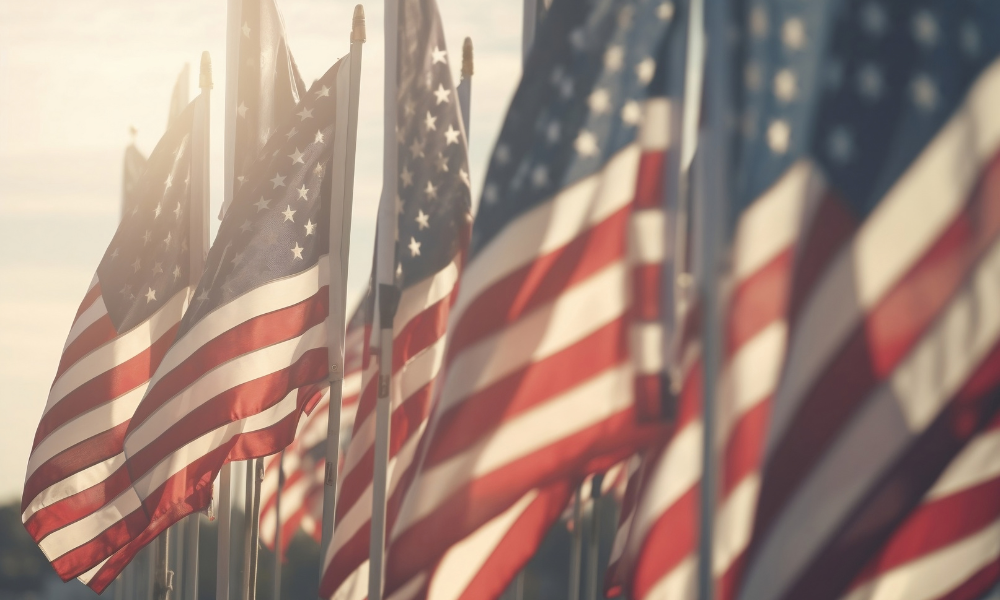 group of American Flags Illuminated By Sunlight